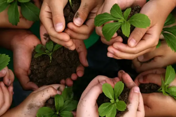کار های خیر مناسب برای کودکان در سنین مختلف