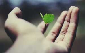 ثواب کار خیر برای اموات